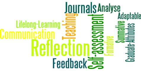 reflective journal project management
